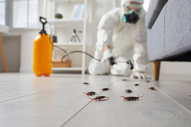 Commercial Kitchen Cockroach Control in Stony Prairie